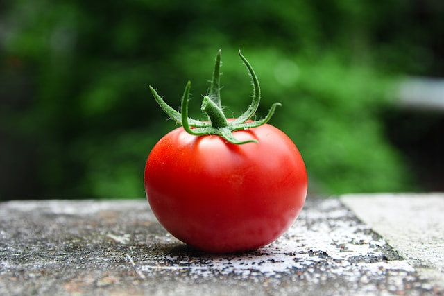 La Historia Del Tomate: Curiosidad Por El Tomate Y Sus Orígenes ...